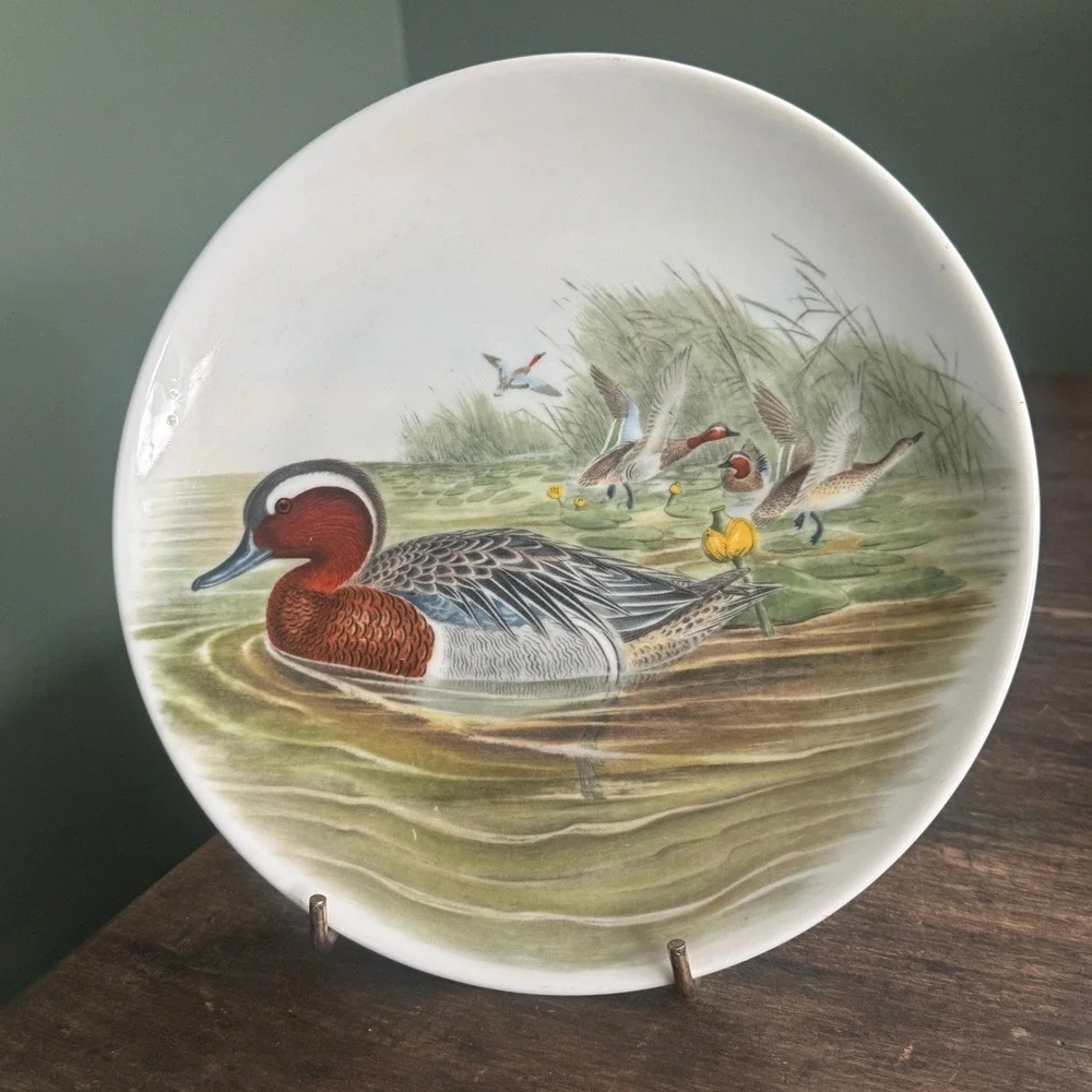 Vintage JKW Western Germany John Gould Garganey Duck Porcelain‎ Decorative Plate